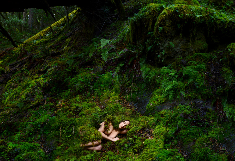 Fueled By Firefly Artist: Charlie Watts