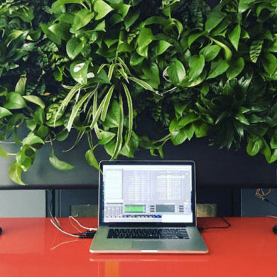 Making Music from Plants