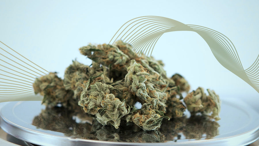 AVB Weed Already Vaped Bud What Is It And How To Use It?