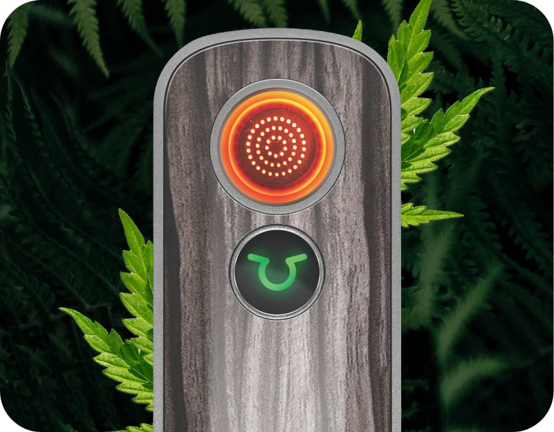 weed vaporizer with cannabis